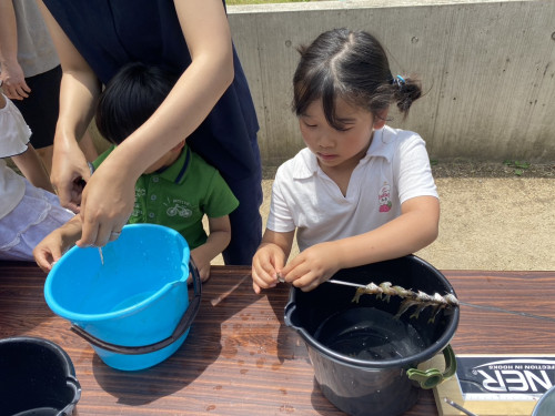 IMG_2216.jpeg