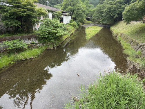 IMG_2246.jpeg