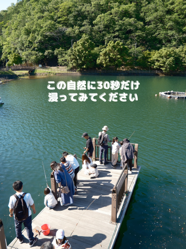 IMG_2453.png