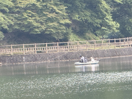 IMG_2477.jpeg