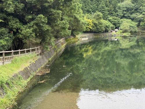 IMG_2604.jpeg