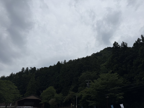 IMG_2704.jpeg