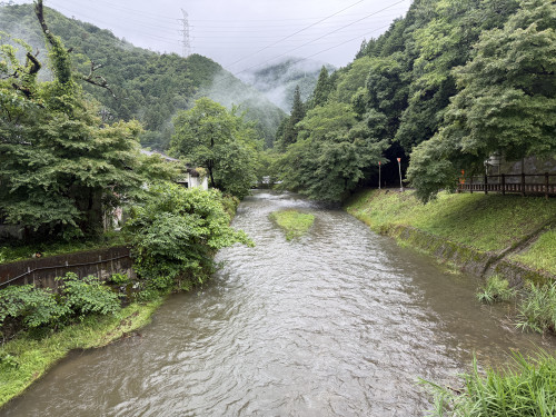 IMG_0401.jpeg