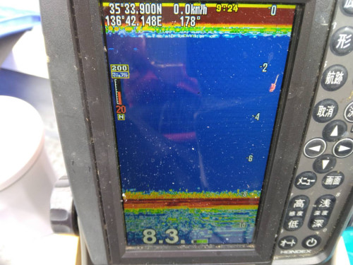 1782555248703.jpg