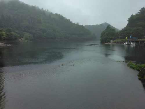IMG_20260706_131140.jpg