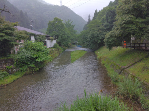 IMG_20260706_131133.jpg