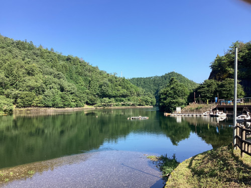 IMG_1741.jpeg