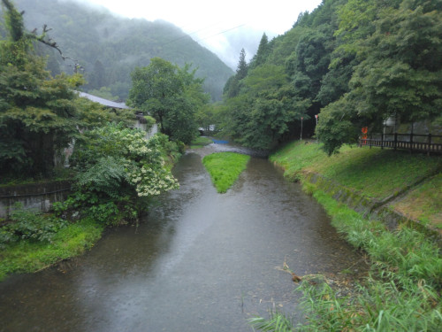 IMG_20260728_154508.jpg