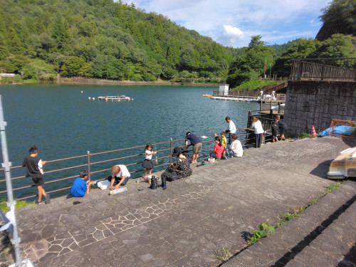 IMG_20260817_150255.jpg