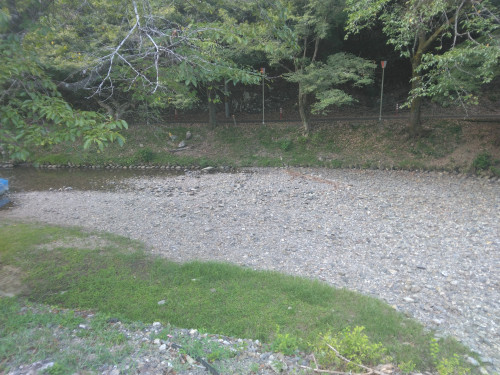 IMG_20260819_170608.jpg
