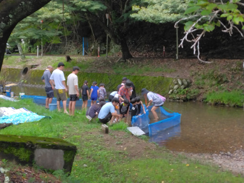 IMG_20260830_142939.jpg