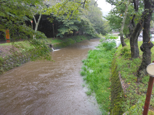 IMG_20260914_125811.jpg