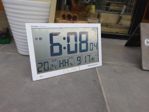 1789613299115.jpg