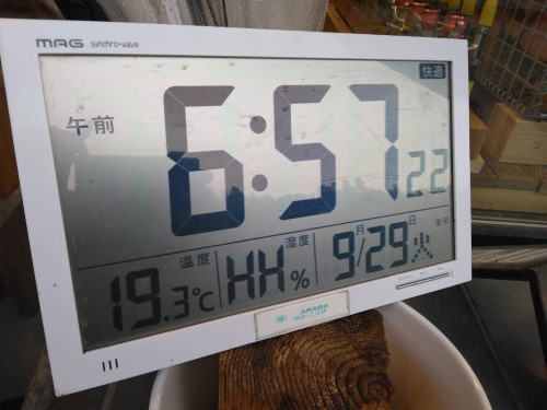 1790645002259.jpg
