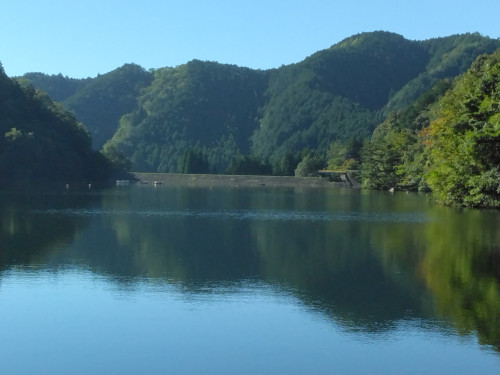 IMG_20261001_082712.jpg