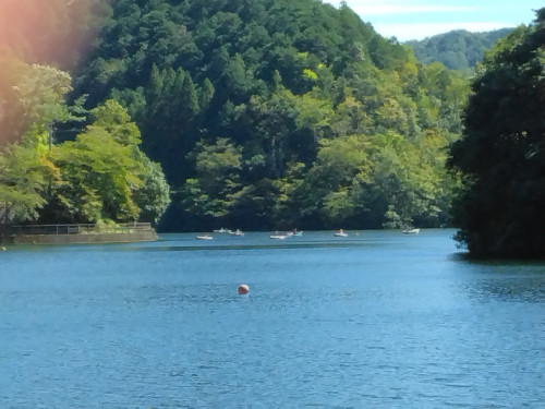 IMG_20261001_123852.jpg