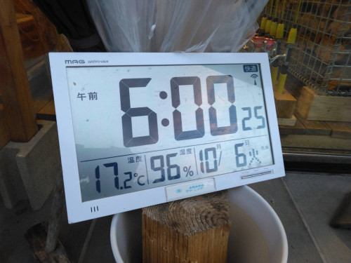1791263633124.jpg