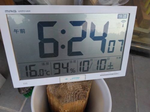 1791600566199.jpg
