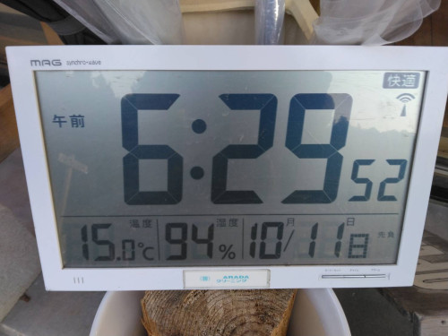 1791700142815.jpg
