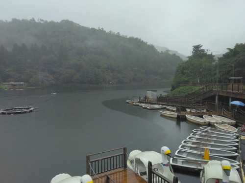 IMG_20261025_104507.jpg