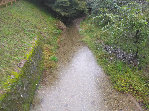 IMG_20261026_141035.jpg