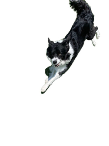 image0.jpeg