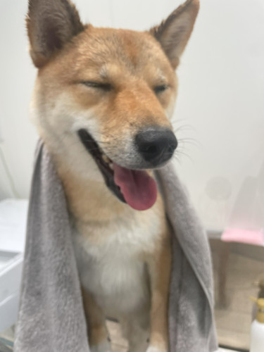 チャングン.jpg