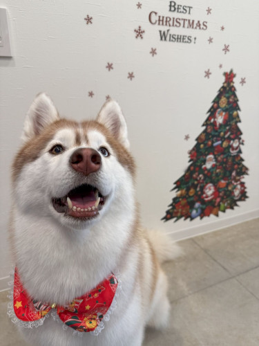 オル　12月.jpg