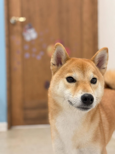 心陽ちゃん.jpg