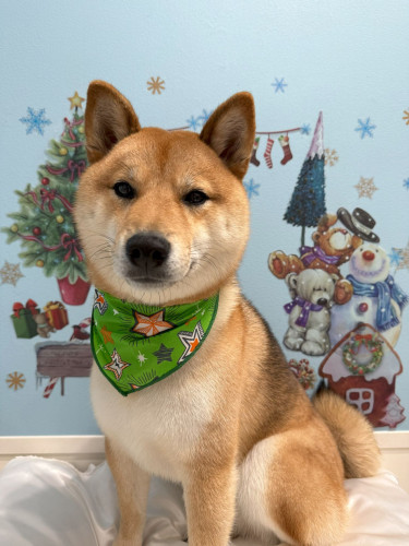 チャングン　12月.jpg