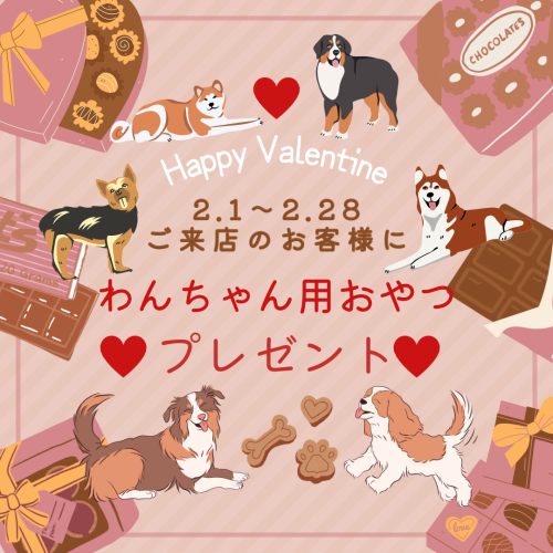 バレンタイン.png