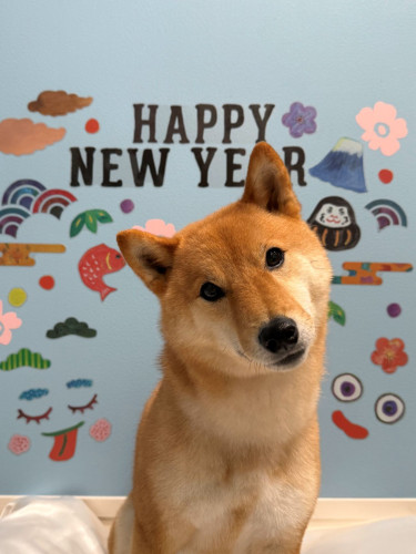 コナ　1月.jpg