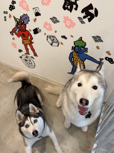 ルポ＆ハク　１月.jpg