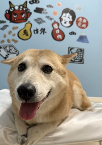 銀　１月.jpg