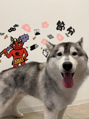 リオ　１月.jpg