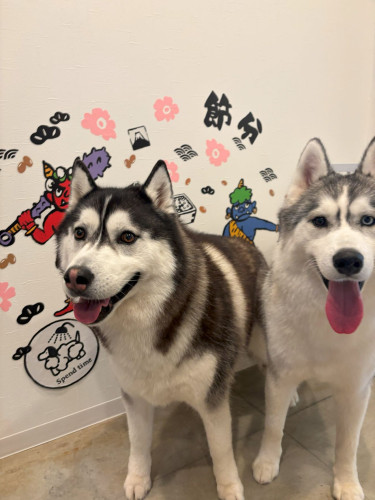天＆銀　１月.jpg