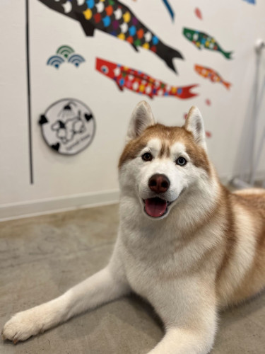 オルちゃん.jpg