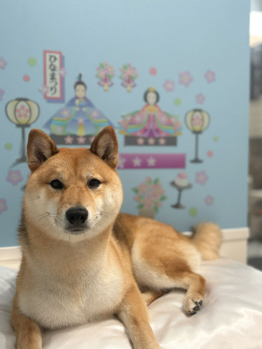 チャングン　２.jpg