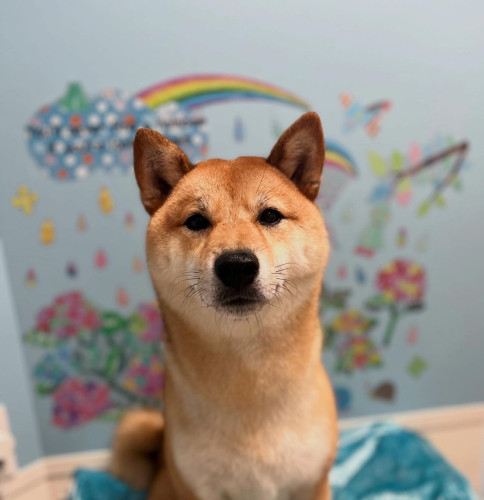 チャングン.JPG