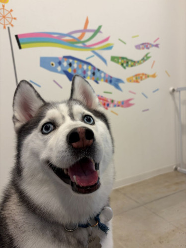 ハク.jpg