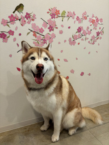 イチ（４月）.jpg