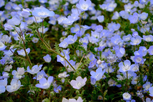 S__212377602.jpg