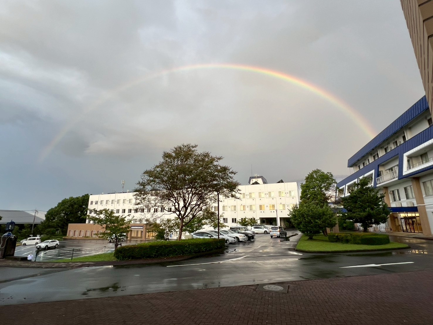 虹🌈