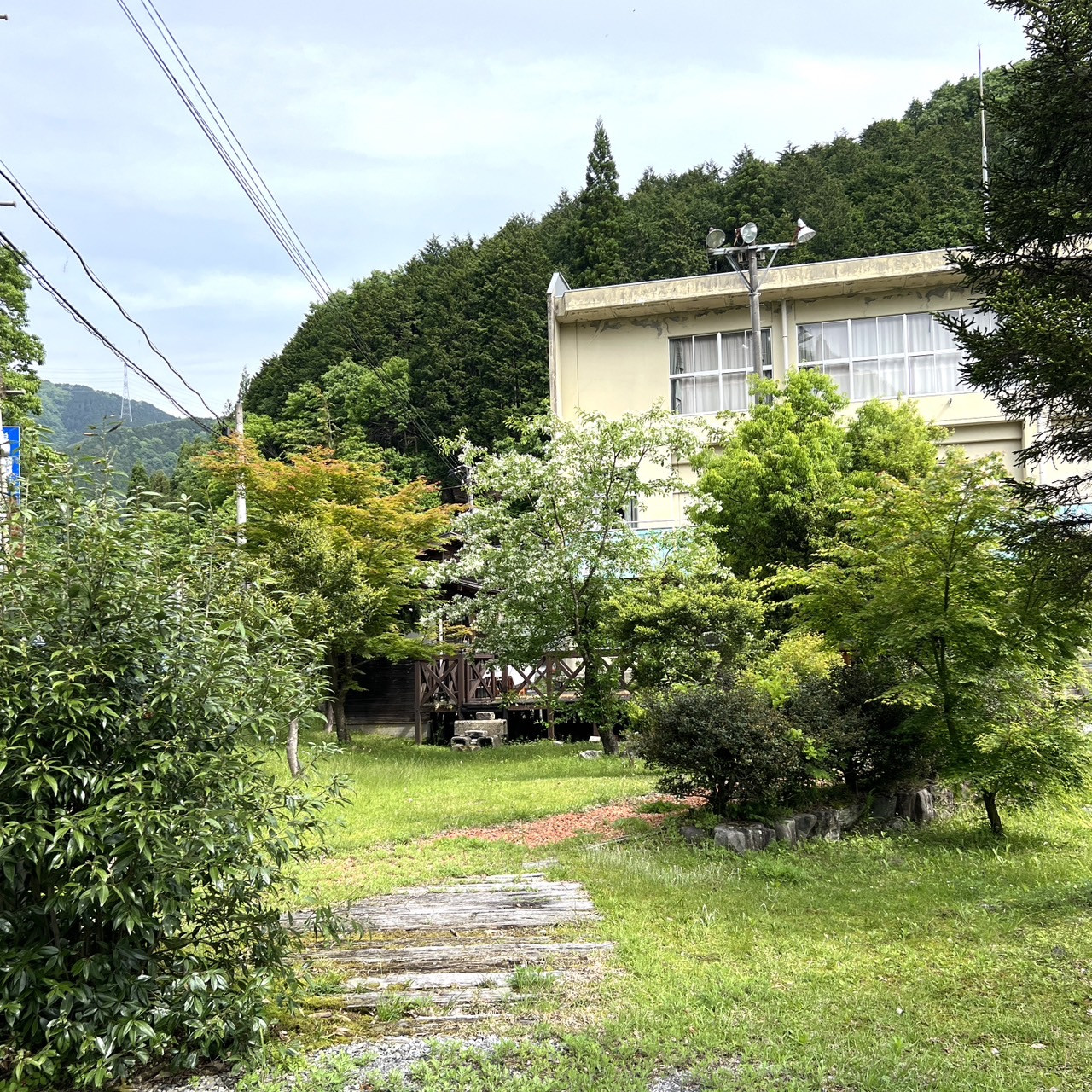 樹庵-校庭・駐車場画像