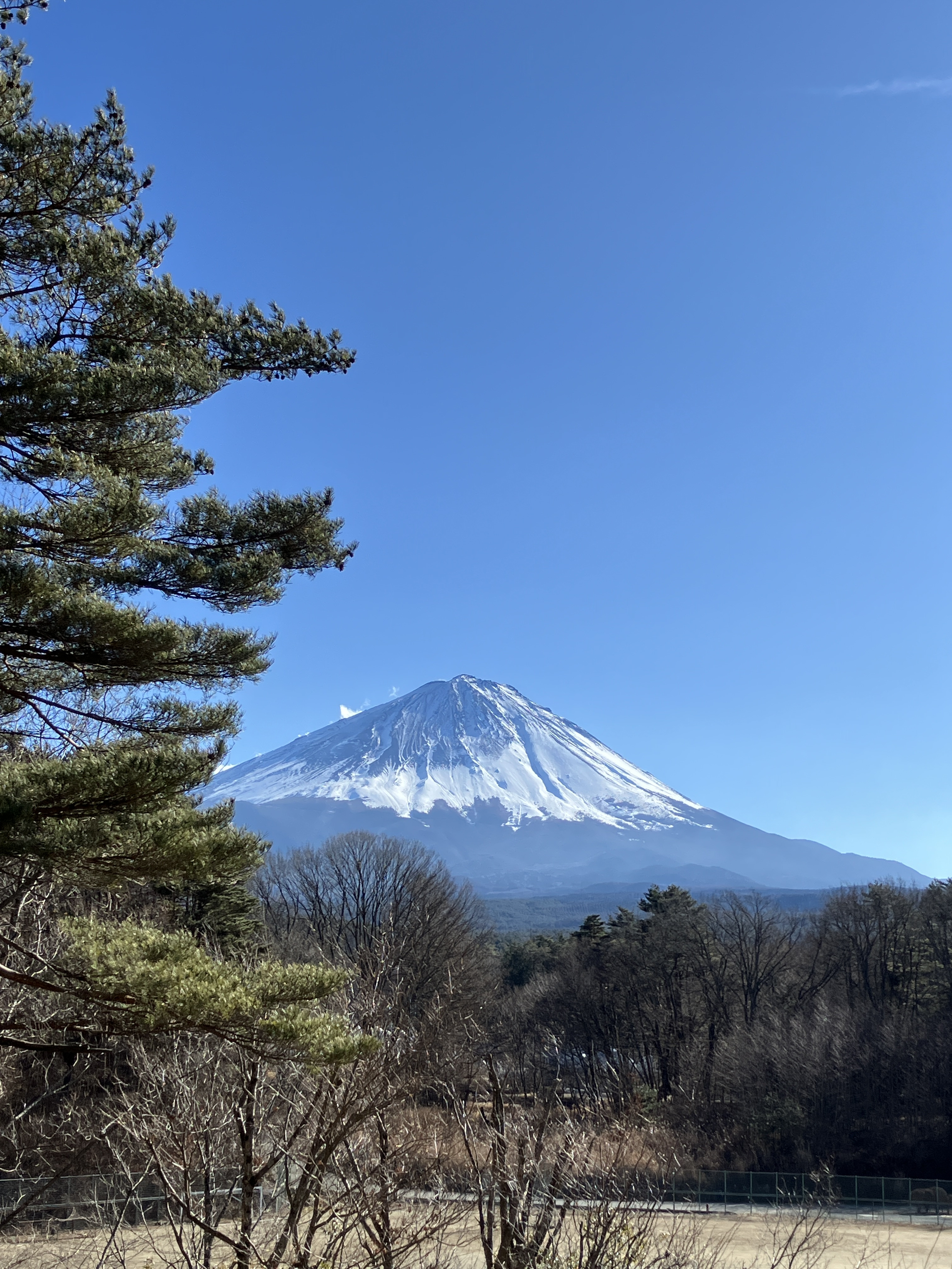 連休のお知らせ