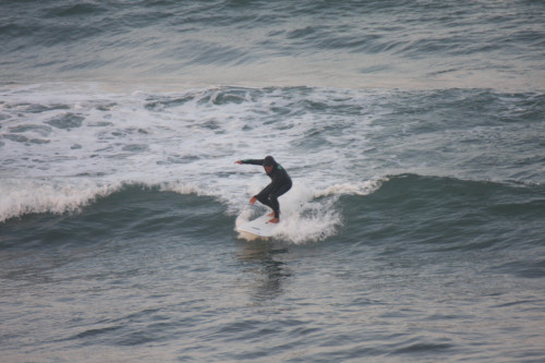 IMG_3601.JPG