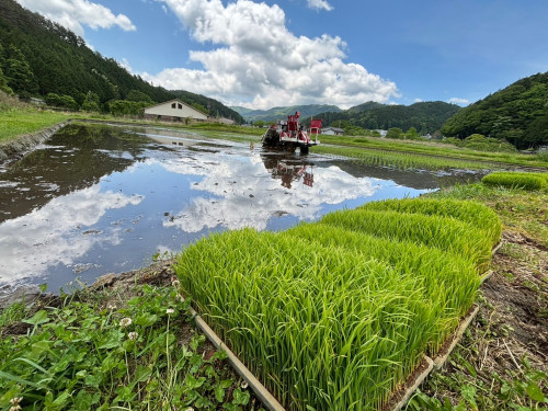 LINE_ALBUM_稲_240701_9.jpg