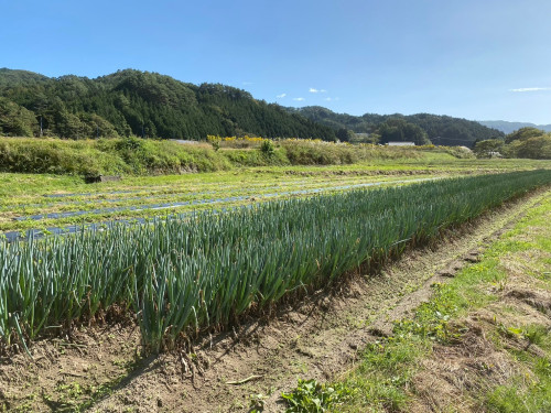 LINE_ALBUM_ねぎ_240701_23.jpg