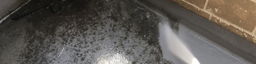 IMG_8779.jpeg