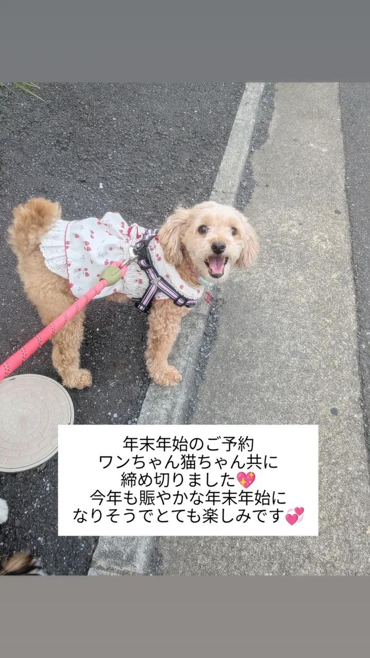 ♡年末年始のご予約について♡